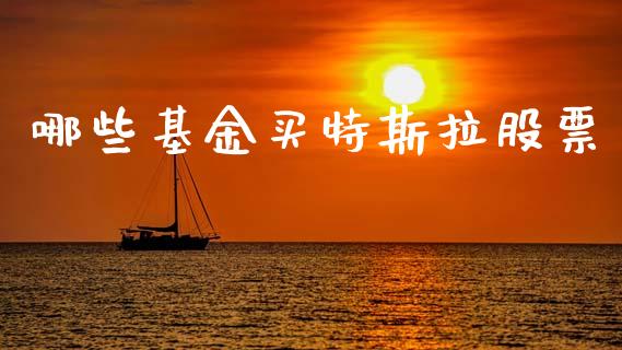 哪些基金买特斯拉股票_https://wap.ycdhulan.com_货币市场_第1张