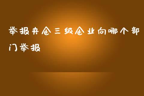 举报央企三级企业向哪个部门举报_https://wap.ycdhulan.com_财务投资_第1张