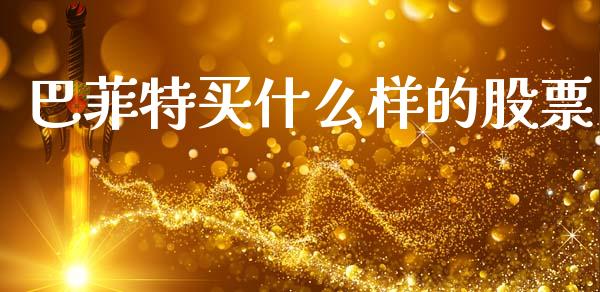 巴菲特买什么样的股票_https://wap.ycdhulan.com_财务投资_第1张