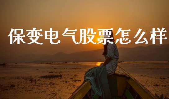 保变电气股票怎么样_https://wap.ycdhulan.com_投资基金_第1张