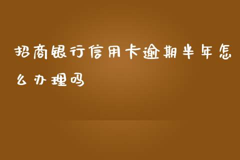 招商银行信用卡逾期半年怎么办理吗_https://wap.ycdhulan.com_金融咨询_第1张