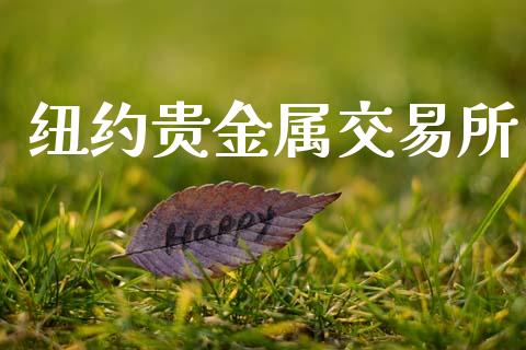 纽约贵金属交易所_https://wap.ycdhulan.com_财务投资_第1张