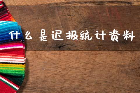 什么是迟报统计资料_https://wap.ycdhulan.com_货币市场_第1张