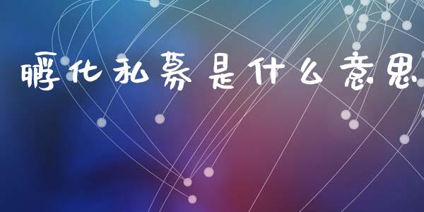 孵化私募是什么意思_https://wap.ycdhulan.com_货币市场_第1张