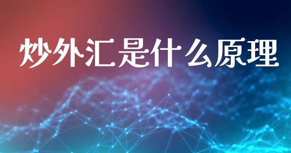 炒外汇是什么原理_https://wap.ycdhulan.com_财务投资_第1张
