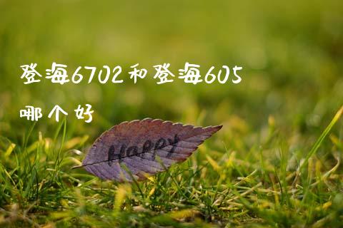登海6702和登海605哪个好_https://wap.ycdhulan.com_国际财经_第1张