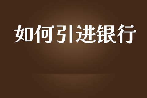 如何引进银行_https://wap.ycdhulan.com_国际财经_第1张