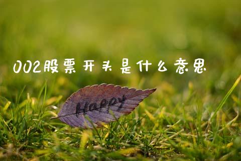 002股票开头是什么意思_https://wap.ycdhulan.com_国际财经_第1张