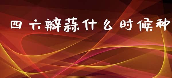 四六瓣蒜什么时候种_https://wap.ycdhulan.com_货币市场_第1张