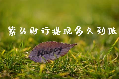 紫马财行提现多久到账_https://wap.ycdhulan.com_国际财经_第1张