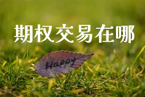 期权交易在哪_https://wap.ycdhulan.com_财经新闻_第1张