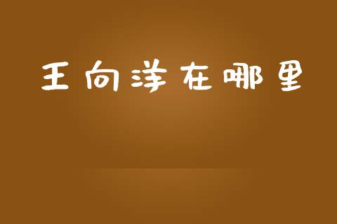 王向洋在哪里_https://wap.ycdhulan.com_货币市场_第1张