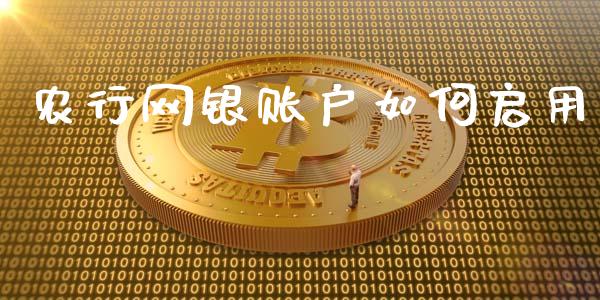 农行网银账户如何启用_https://wap.ycdhulan.com_货币市场_第1张