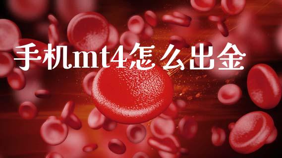 手机mt4怎么出金_https://wap.ycdhulan.com_财经新闻_第1张