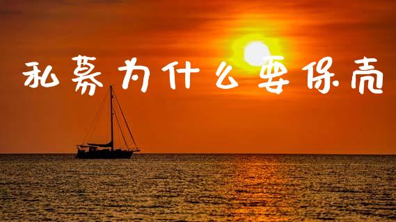 私募为什么要保壳_https://wap.ycdhulan.com_财经新闻_第1张