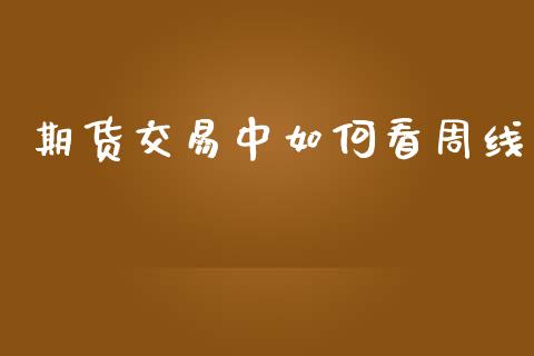 期货交易中如何看周线_https://wap.ycdhulan.com_货币市场_第1张