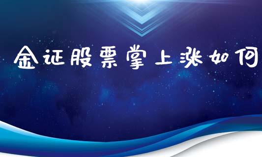 金证股票掌上涨如何_https://wap.ycdhulan.com_投资基金_第1张