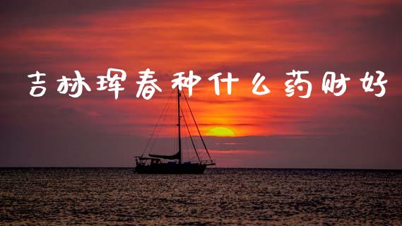 吉林珲春种什么药财好_https://wap.ycdhulan.com_投资基金_第1张