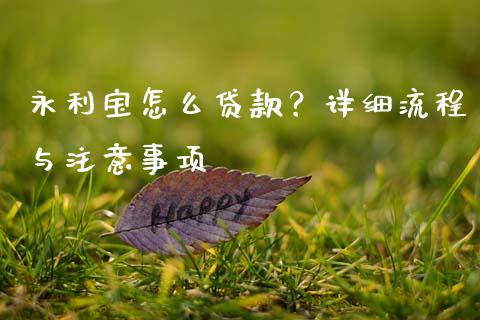 永利宝怎么贷款？详细流程与注意事项_https://wap.ycdhulan.com_财经新闻_第1张