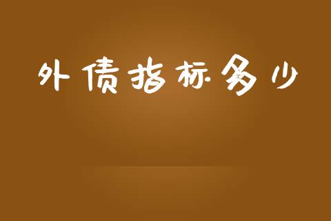 外债指标多少_https://wap.ycdhulan.com_金融咨询_第1张