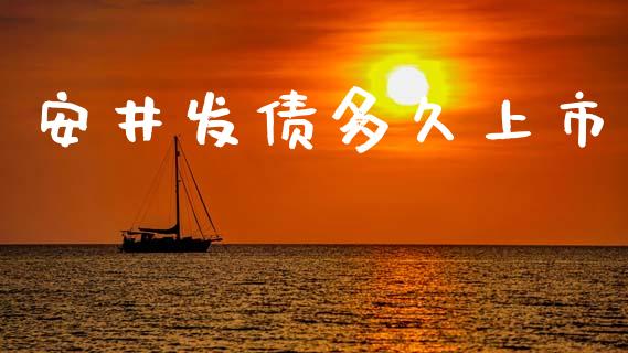 安井发债多久上市_https://wap.ycdhulan.com_财务投资_第1张