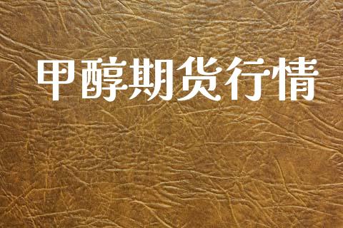 甲醇期货行情_https://wap.ycdhulan.com_投资基金_第1张
