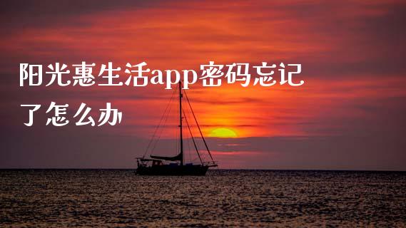 阳光惠生活app密码忘记了怎么办_https://wap.ycdhulan.com_投资基金_第1张