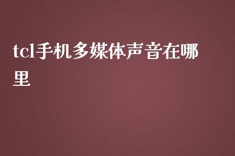 tcl手机多媒体声音在哪里_https://wap.ycdhulan.com_投资基金_第1张