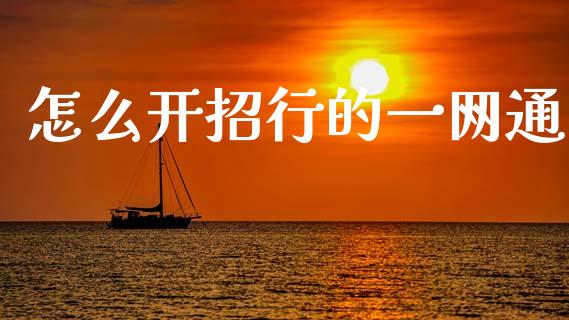 怎么开招行的一网通_https://wap.ycdhulan.com_投资基金_第1张