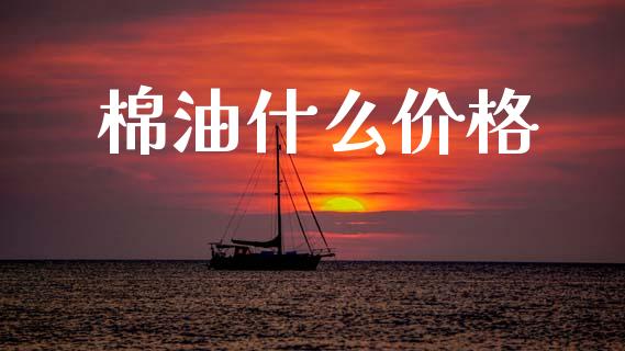 棉油什么价格_https://wap.ycdhulan.com_货币市场_第1张