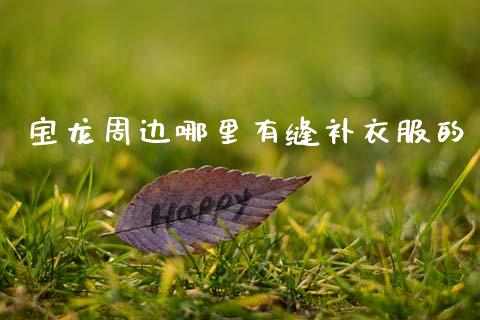 宝龙周边哪里有缝补衣服的_https://wap.ycdhulan.com_财务投资_第1张