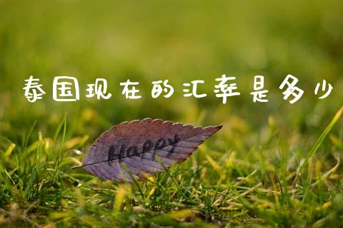 泰国现在的汇率是多少_https://wap.ycdhulan.com_国际财经_第1张