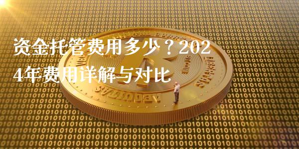 资金托管费用多少？2024年费用详解与对比_https://wap.ycdhulan.com_国际财经_第1张