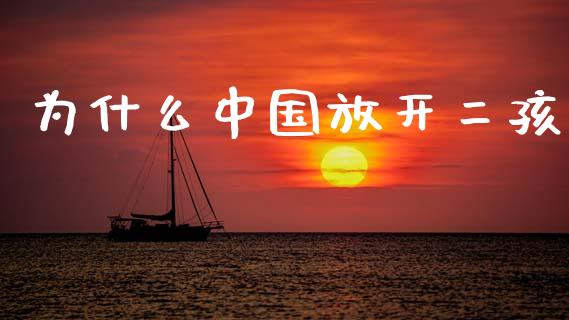 为什么中国放开二孩_https://wap.ycdhulan.com_财经新闻_第1张