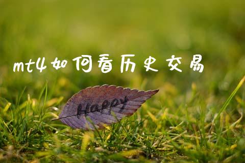 mt4如何看历史交易_https://wap.ycdhulan.com_财经新闻_第1张
