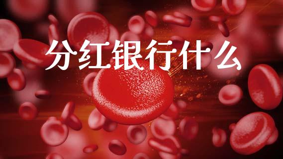 分红银行什么_https://wap.ycdhulan.com_货币市场_第1张