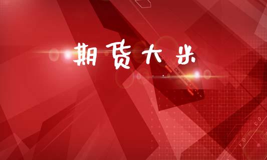 期货大米_https://wap.ycdhulan.com_财务投资_第1张