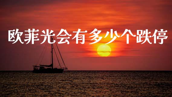 欧菲光会有多少个跌停_https://wap.ycdhulan.com_投资基金_第1张