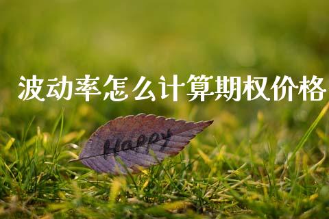 波动率怎么计算期权价格_https://wap.ycdhulan.com_财经新闻_第1张