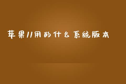 苹果11用的什么系统版本_https://wap.ycdhulan.com_财经新闻_第1张