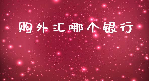 购外汇哪个银行_https://wap.ycdhulan.com_投资基金_第1张