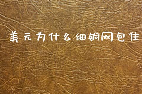 美元为什么细铜网包住_https://wap.ycdhulan.com_投资基金_第1张