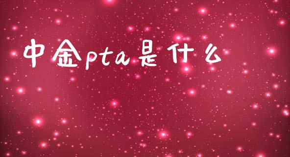 中金pta是什么_https://wap.ycdhulan.com_金融咨询_第1张