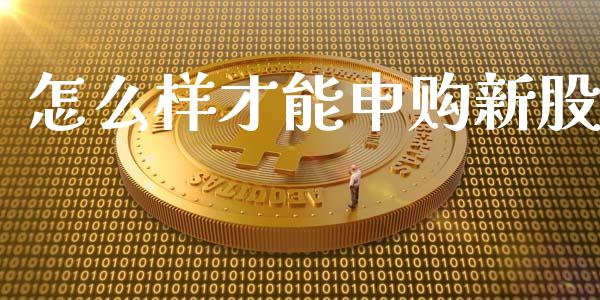 怎么样才能申购新股_https://wap.ycdhulan.com_投资基金_第1张