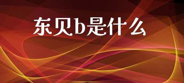 东贝b是什么_https://wap.ycdhulan.com_财务投资_第1张