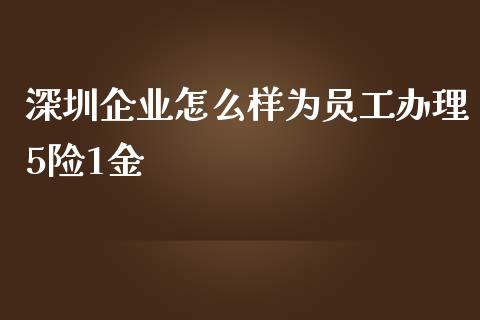深圳企业怎么样为员工办理5险1金_https://wap.ycdhulan.com_金融咨询_第1张