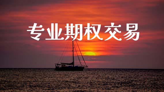 专业期权交易_https://wap.ycdhulan.com_国际财经_第1张