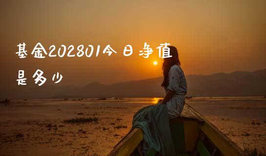 基金202801今日净值是多少_https://wap.ycdhulan.com_财务投资_第1张