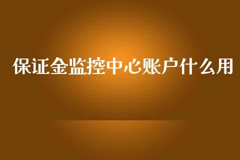 保证金监控中心账户什么用_https://wap.ycdhulan.com_投资基金_第1张