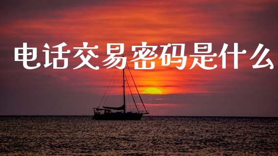 电话交易密码是什么_https://wap.ycdhulan.com_货币市场_第1张